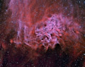 AE Aurigae et la nébuleuse de l'étoile flamboyante