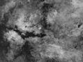 091027