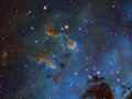 Les têtards d'IC 410