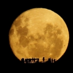 
Silhouettes de la Pleine Lune
