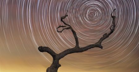 Racines du sud céleste