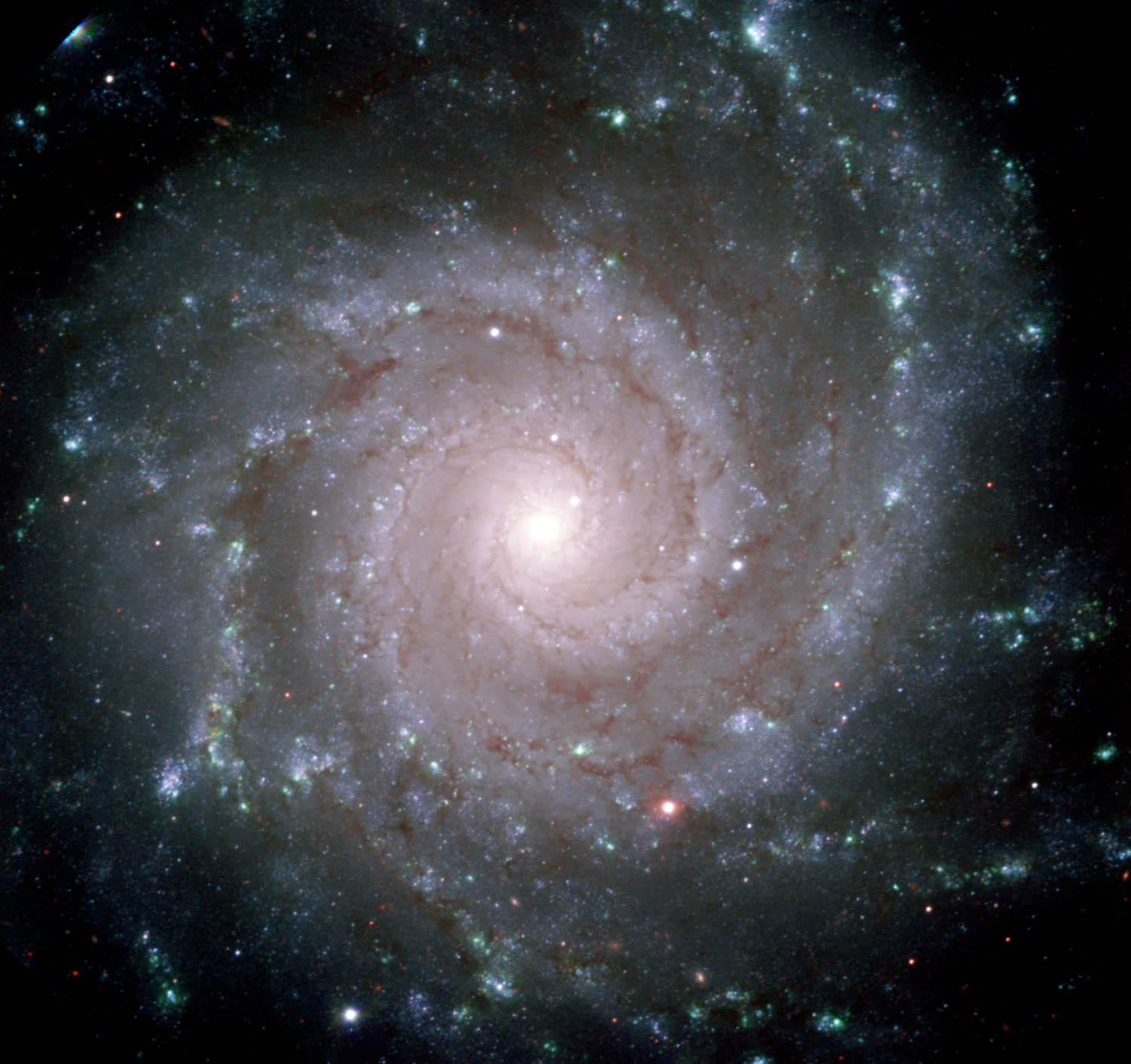 M74 : la spirale parfaite