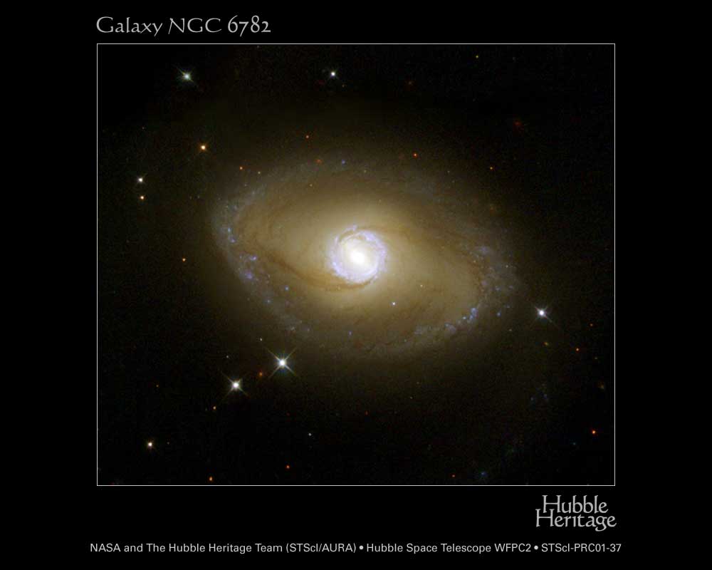 L\'anneau galactique de NGC 6782
