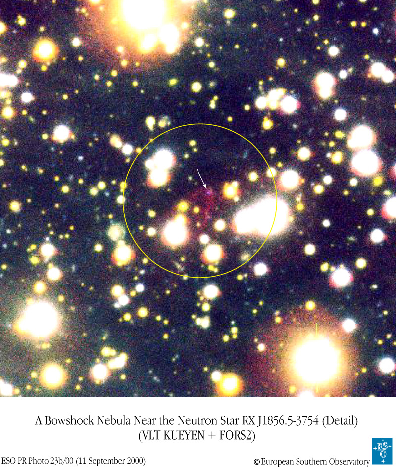 RX J185635-375 : une probable étoile à quarks
