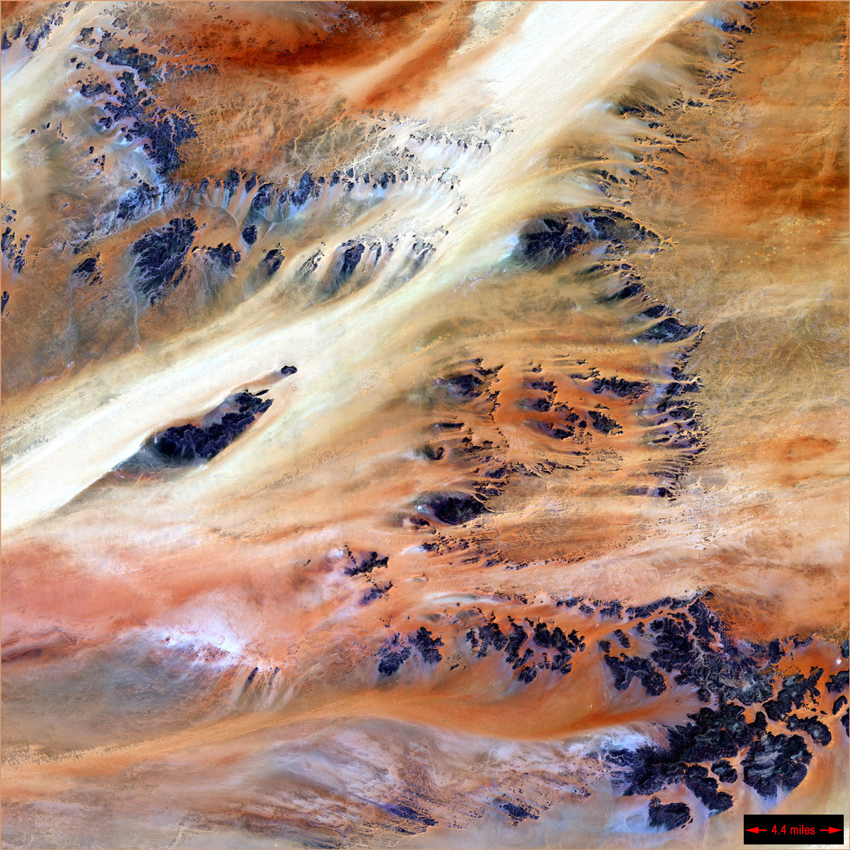 Oasis de Terkezi dans le désert du Sahara