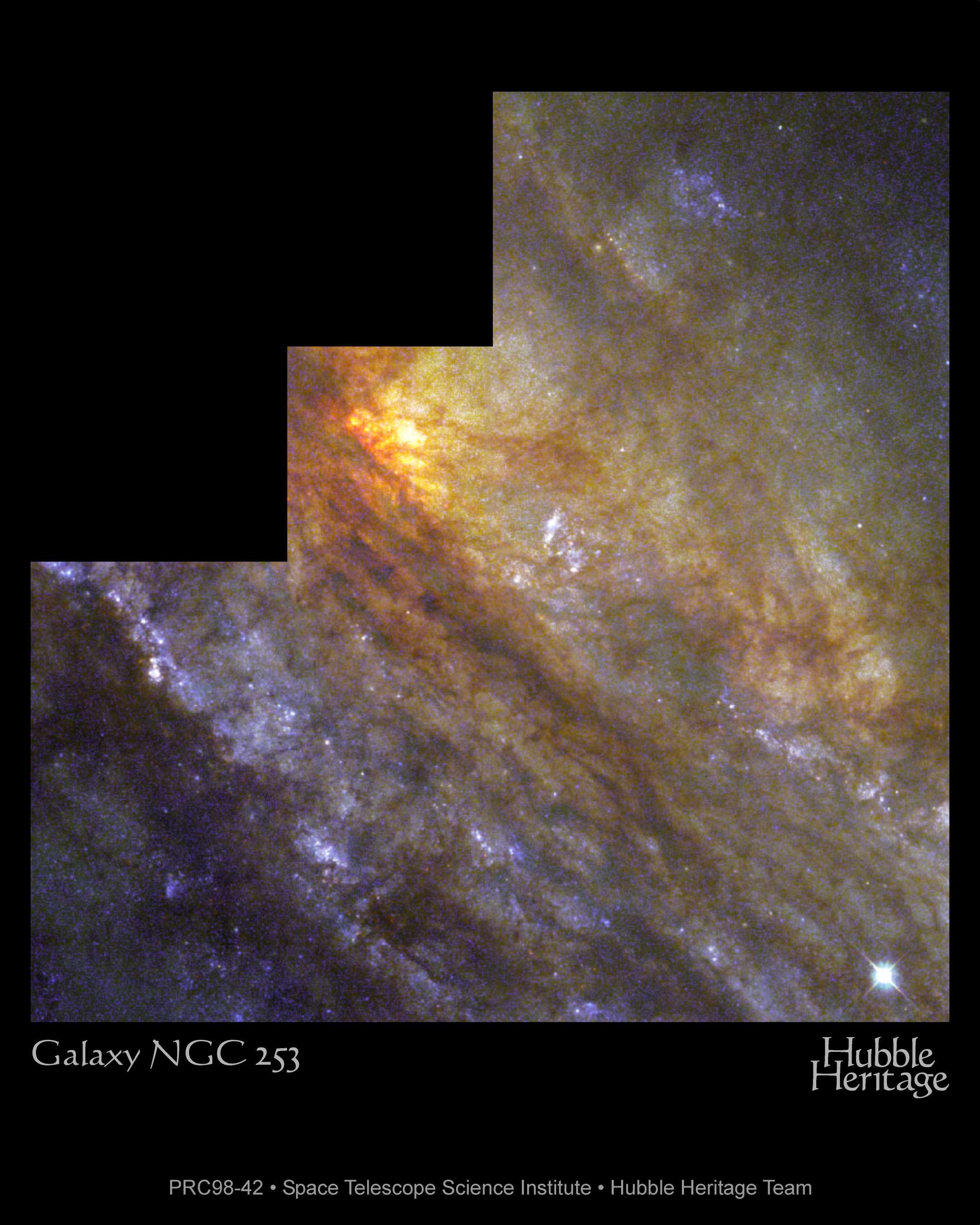 NGC 253 : La Galaxie du Sculpteur