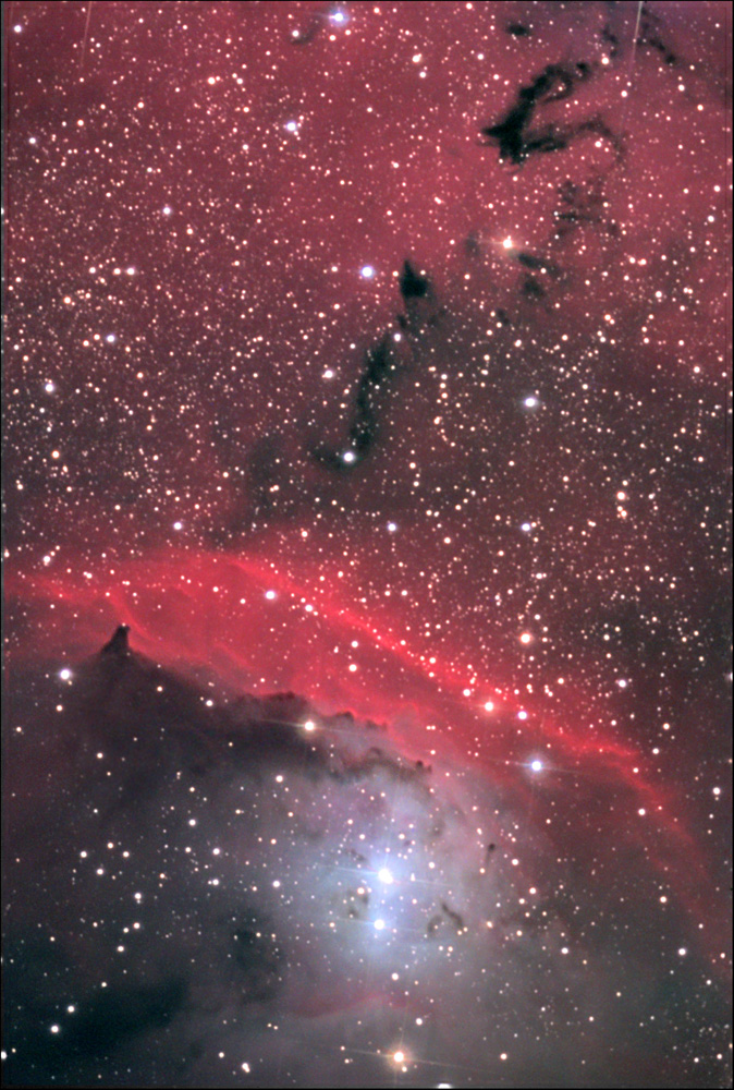 Au centre de NGC 6559 