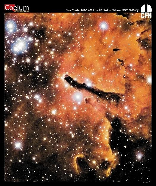 NGC 6823 : Amas ouvert sculpteur d\'étoiles