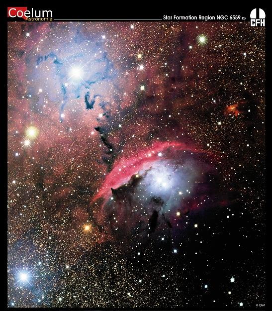 Etoiles, poussière et nébuleuse dans NGC 6559 