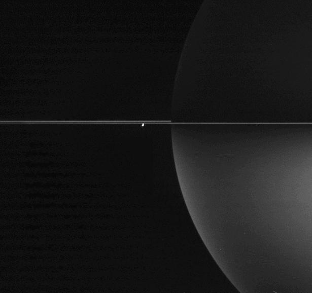 Minces anneaux autour d\'une Saturne polarisée