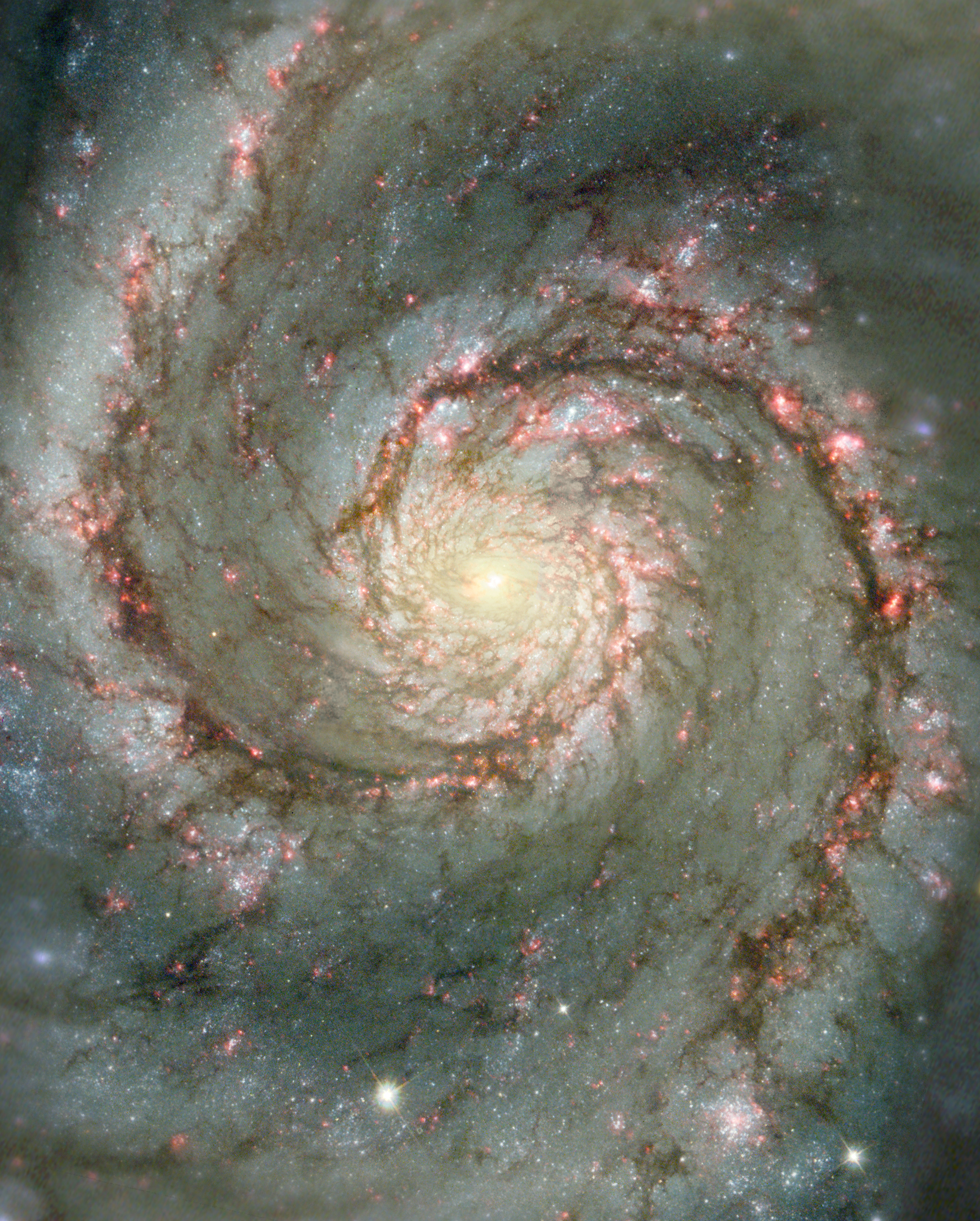  M 51: la galaxie du Tourbillon de poussière et d\'étoiles