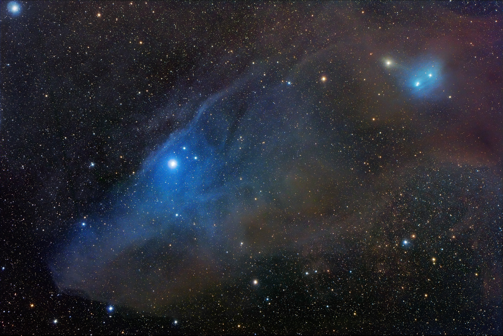 La nébuleuse par réflexion de la Tête de Cheval IC 4592