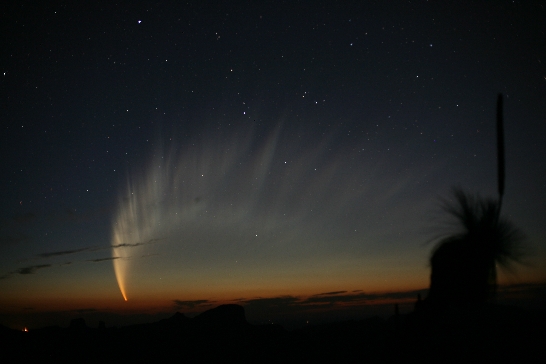 La magnifique queue de la comète MacNaught