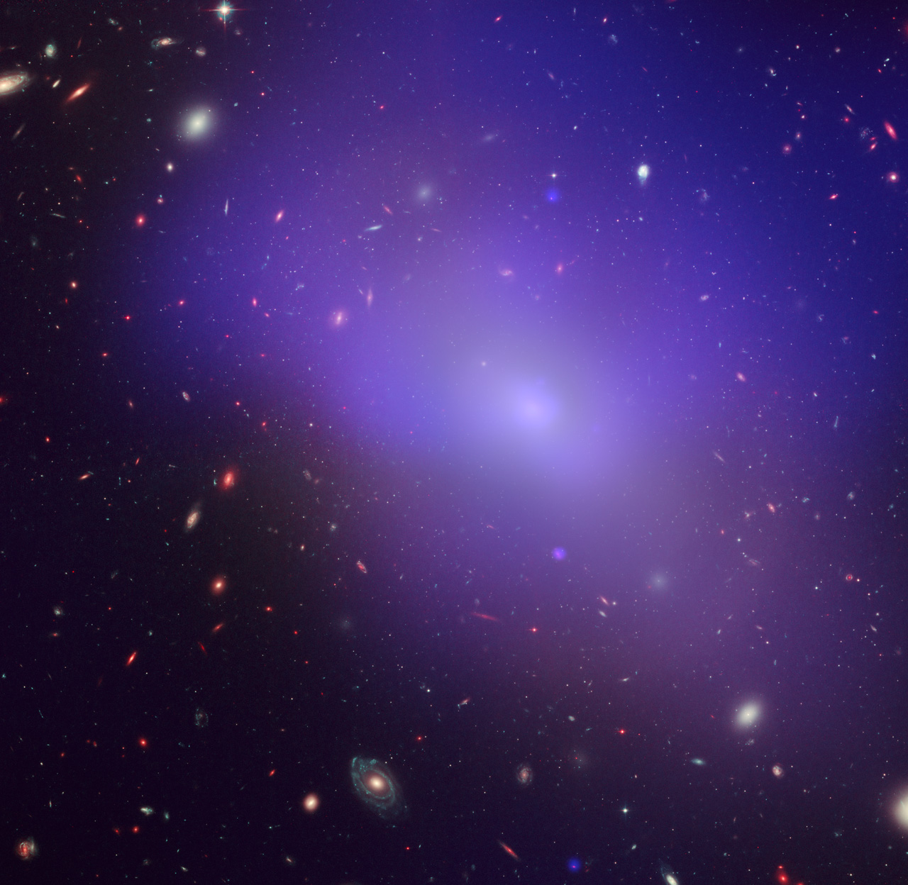 La galaxie elliptique NGC 1132