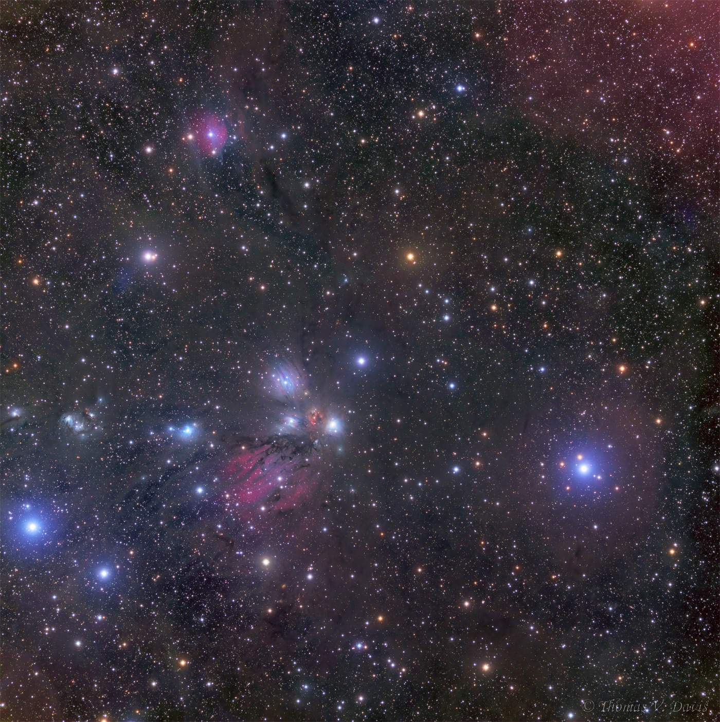 NGC 2170, céleste nature morte 