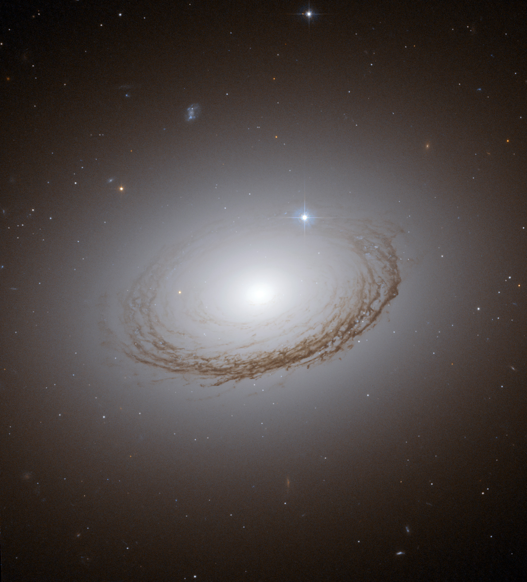 L\'insolite galaxie NGC 7049