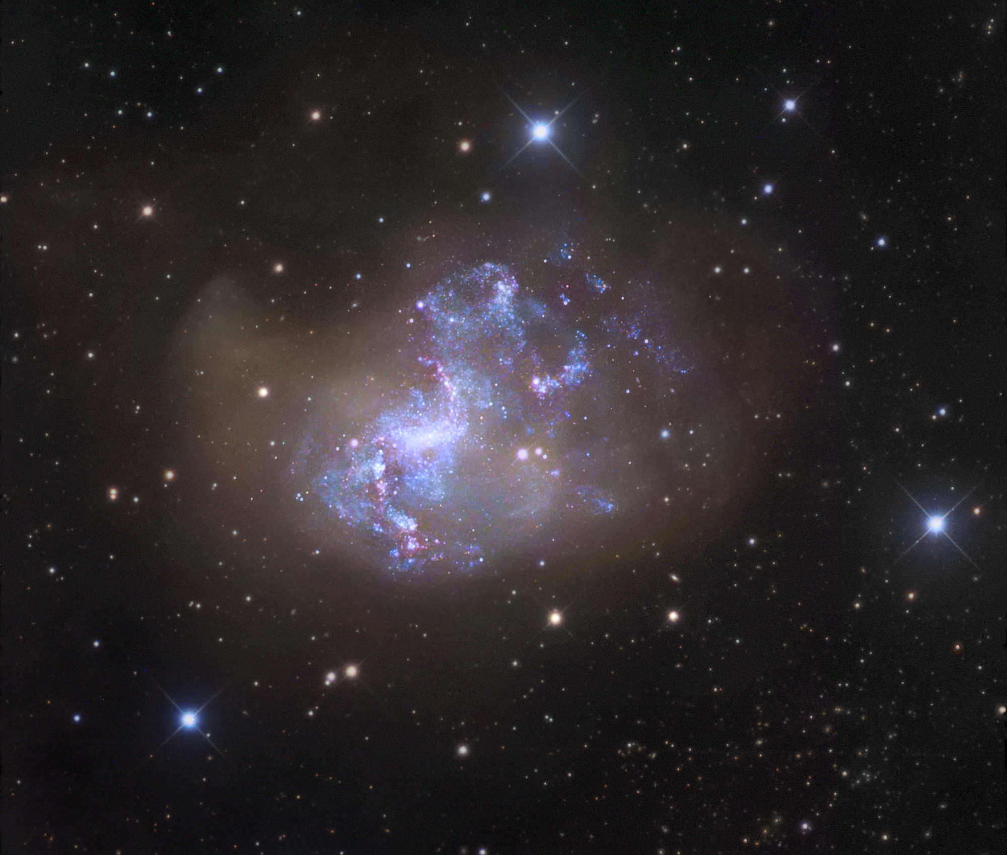 L\'insolite galaxie à sursaut de formation d\'étoiles NGC 1313