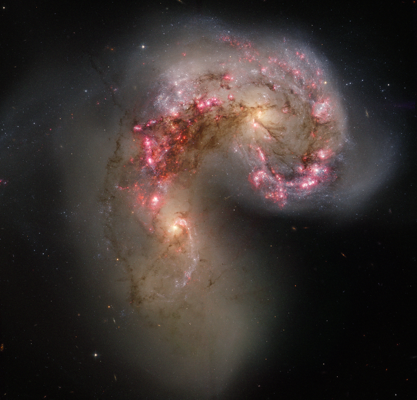 Les galaxies des Antennes en collision