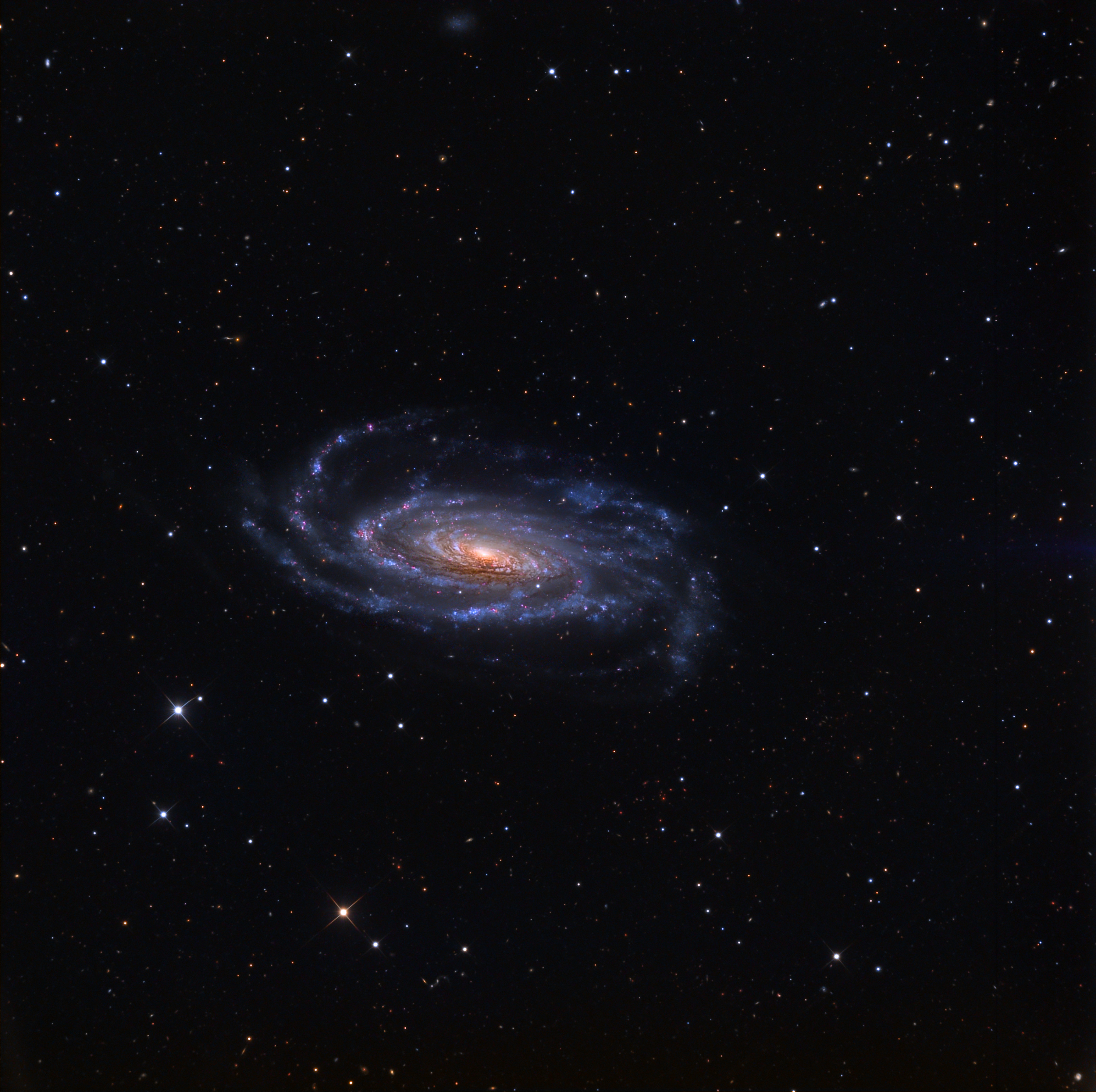 La galaxie spirale NGC 5033