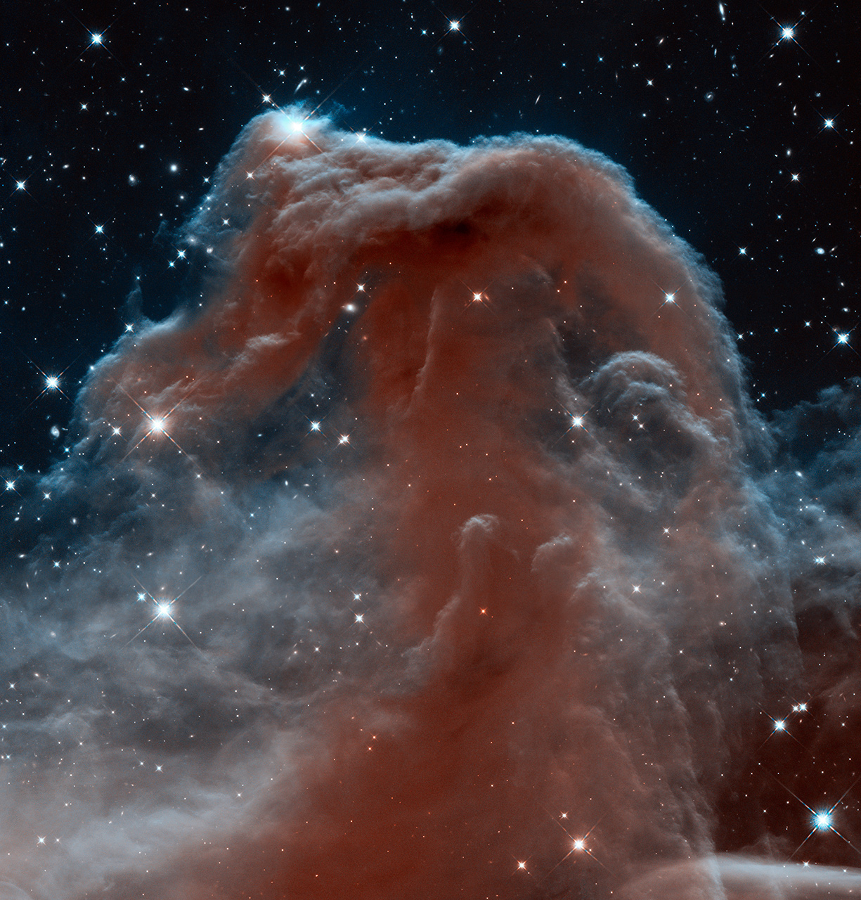 La nébuleuse de la Tête de cheval en infrarouge par Hubble
