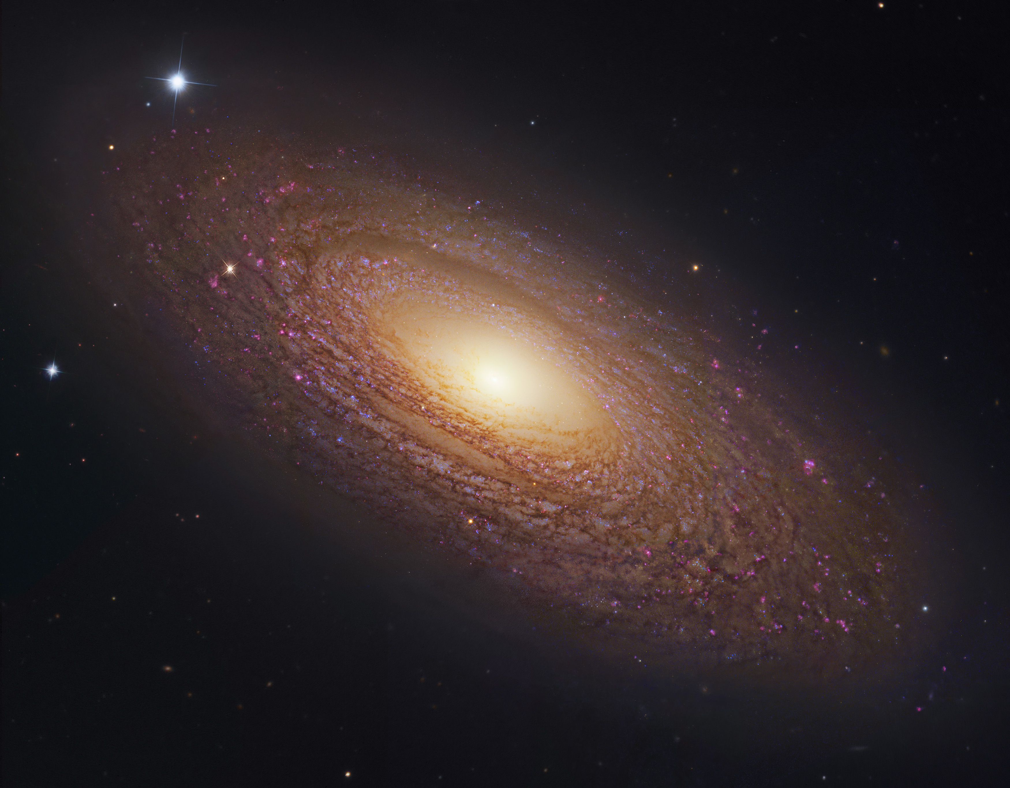 La massive et proche galaxie spirale NGC 2841