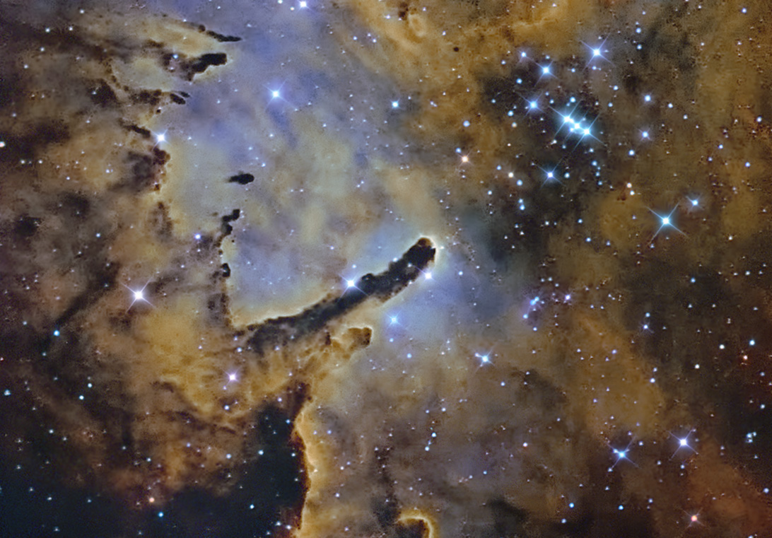 NGC 6823, carrière d\'étoiles