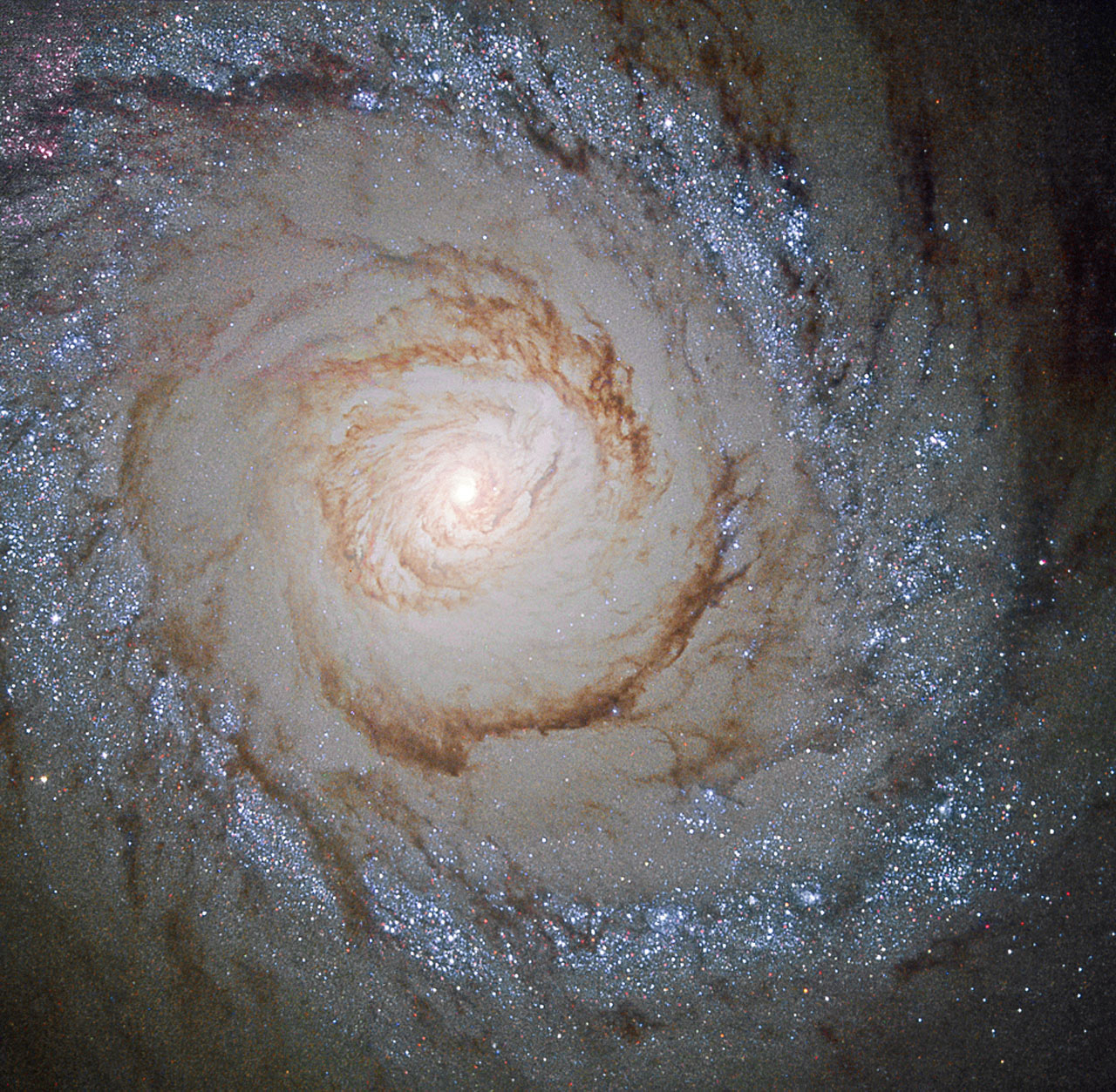 La galaxie à sursauts de formation d\'étoiles M94