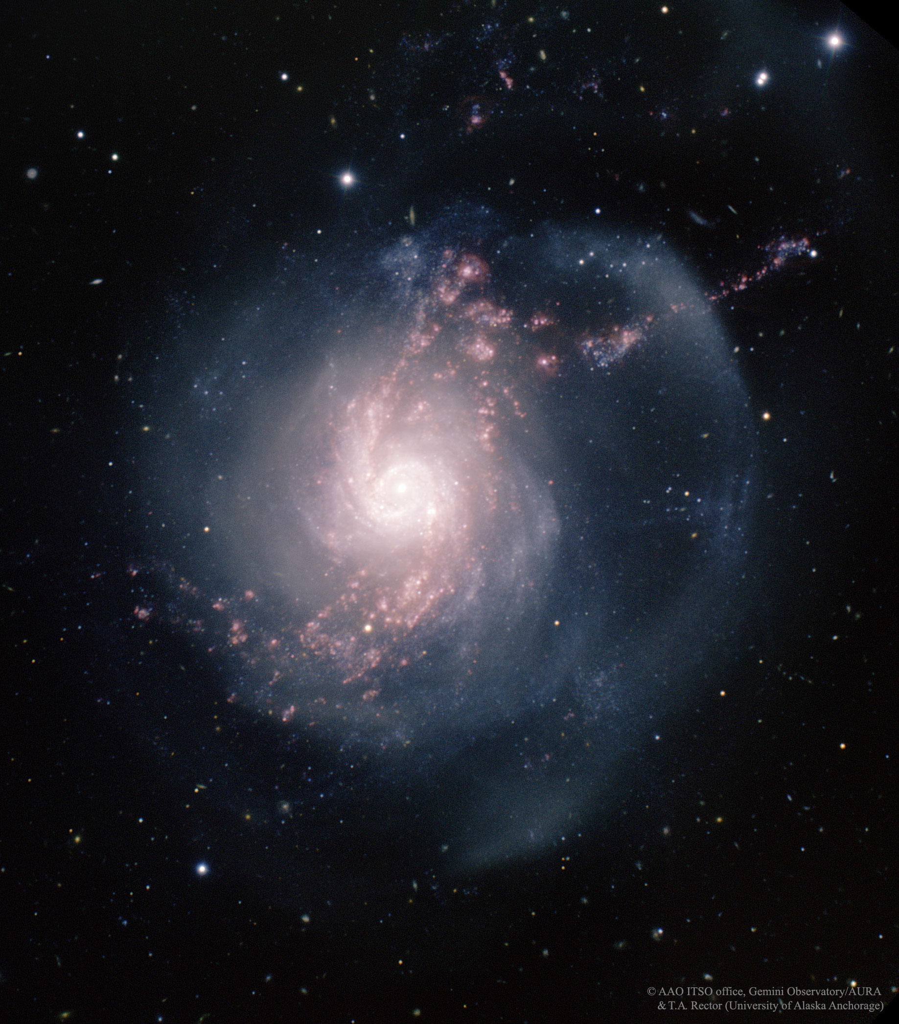 NGC 3310, galaxie à sursauts de formation d\'étoiles