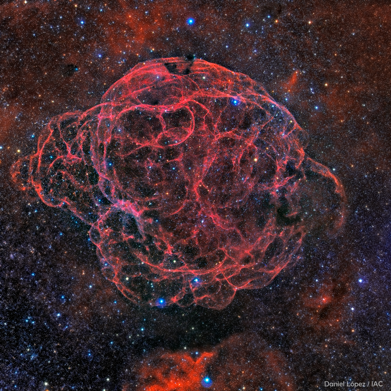 Simeis 147 : rémanent de supernova