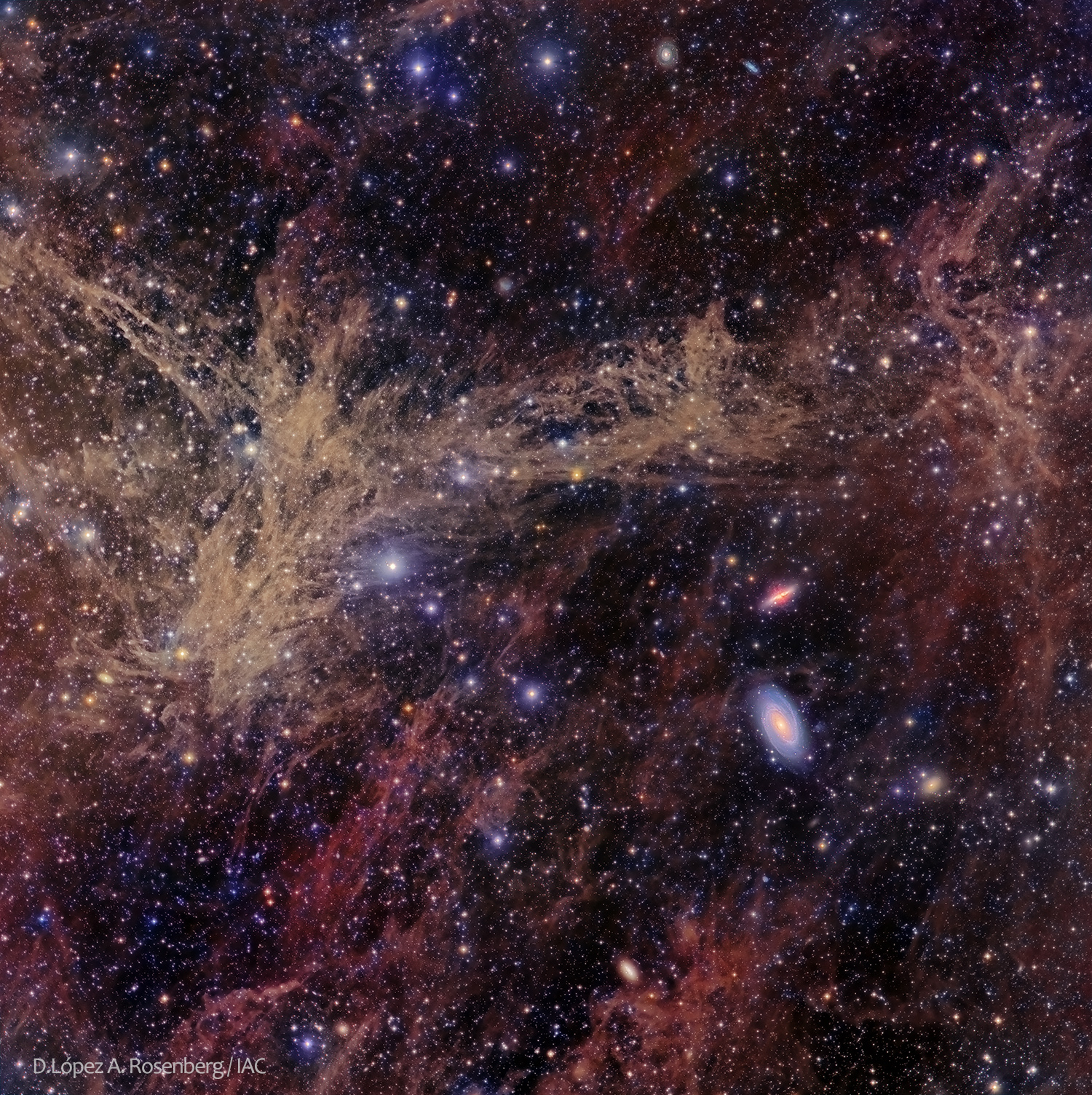 Le groupe galactique de M81 à travers un filament nébuleux