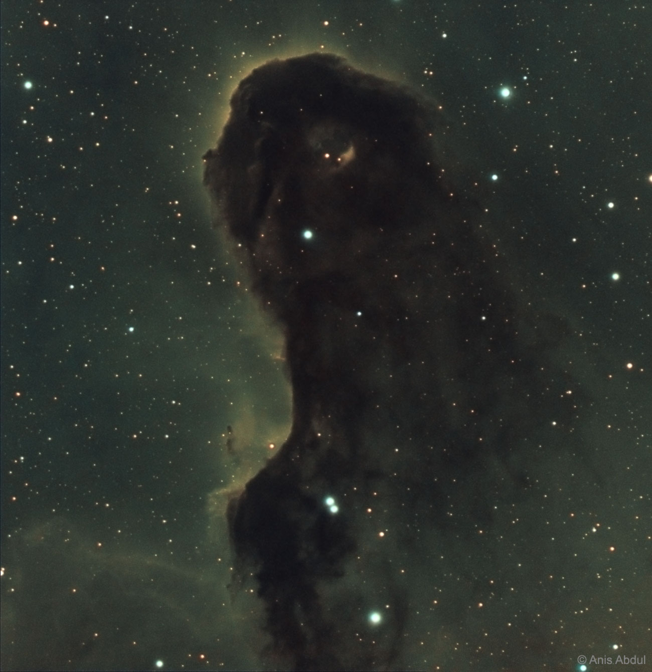 Monstre de poussière dans IC 1396