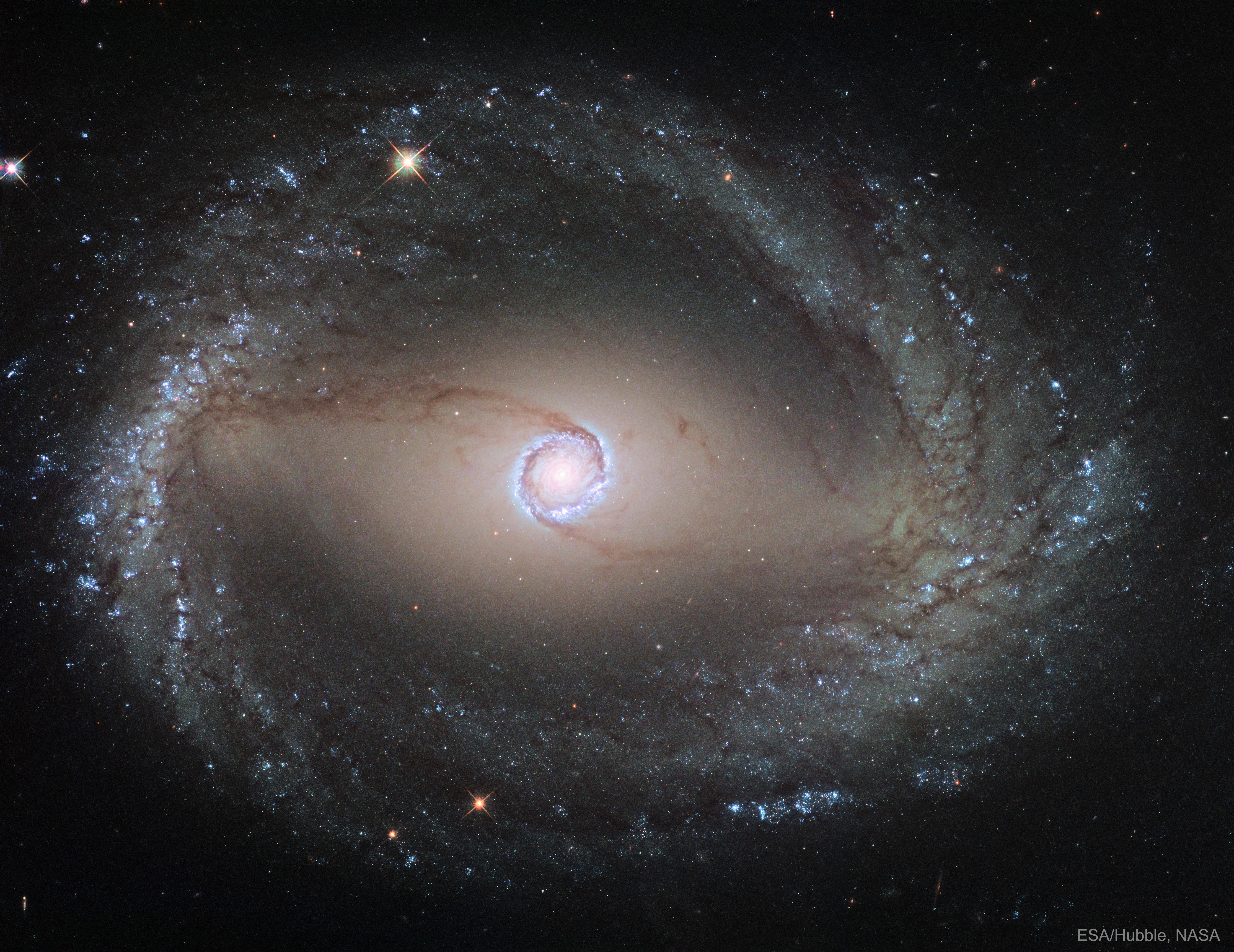 L\'anneau interne de NGC 1512