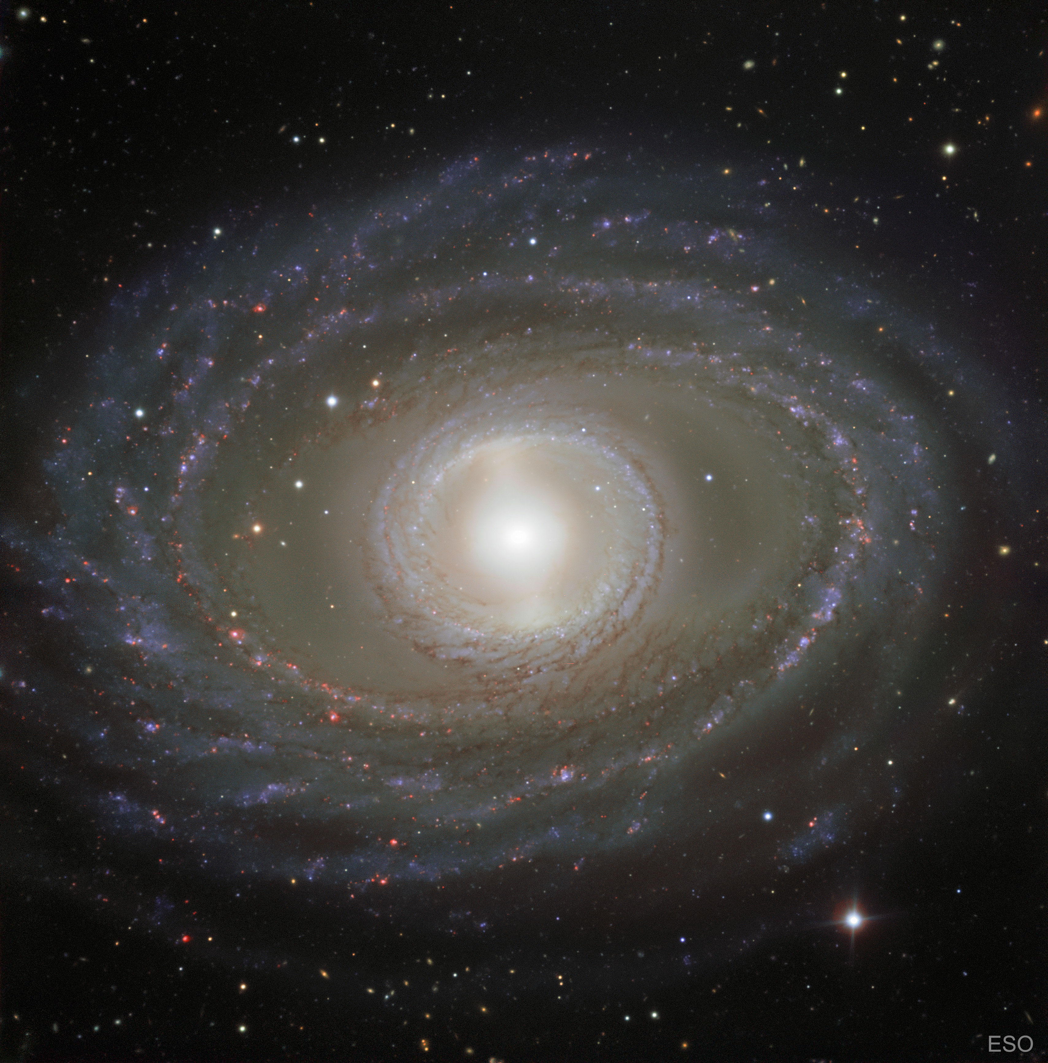Rubans et perles de la galaxie spirale NGC 1398