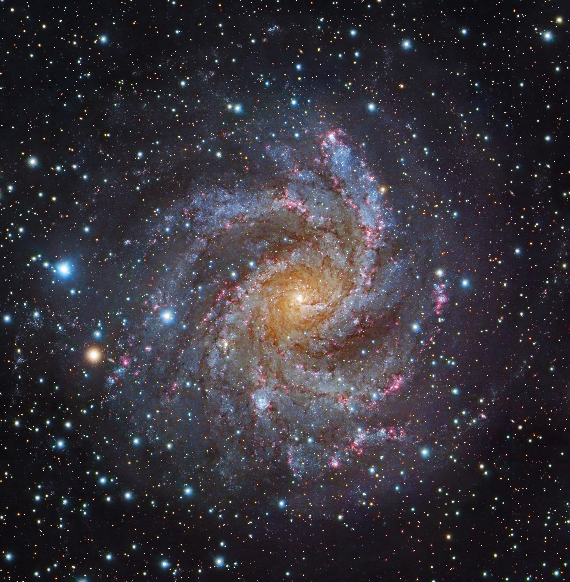NGC 6946 de face