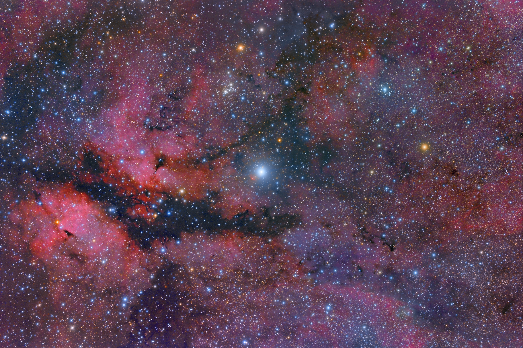 Paysage stellaire au centre du Cygne