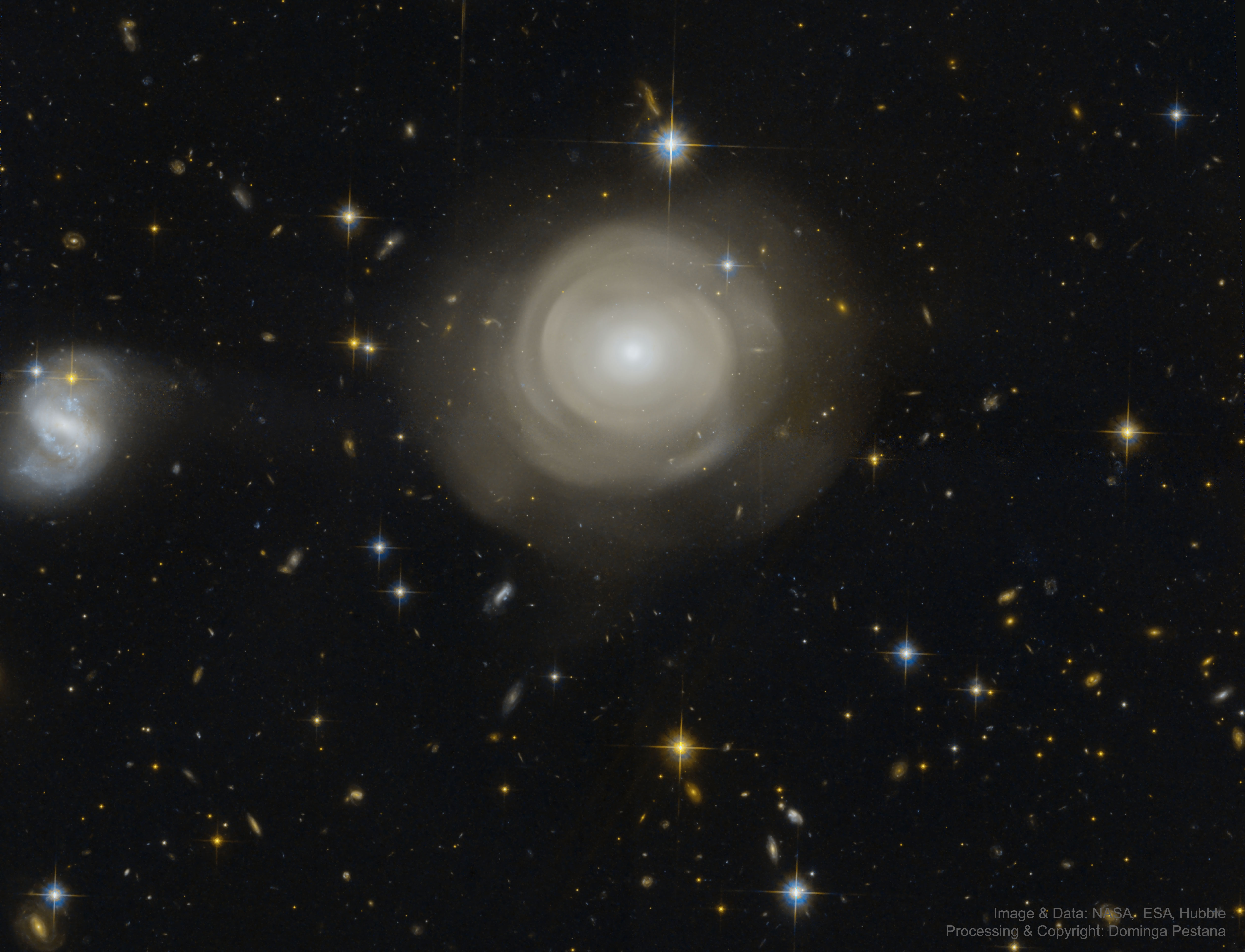 Coquilles d\'étoiles dans la galaxie elliptique PGC 42871