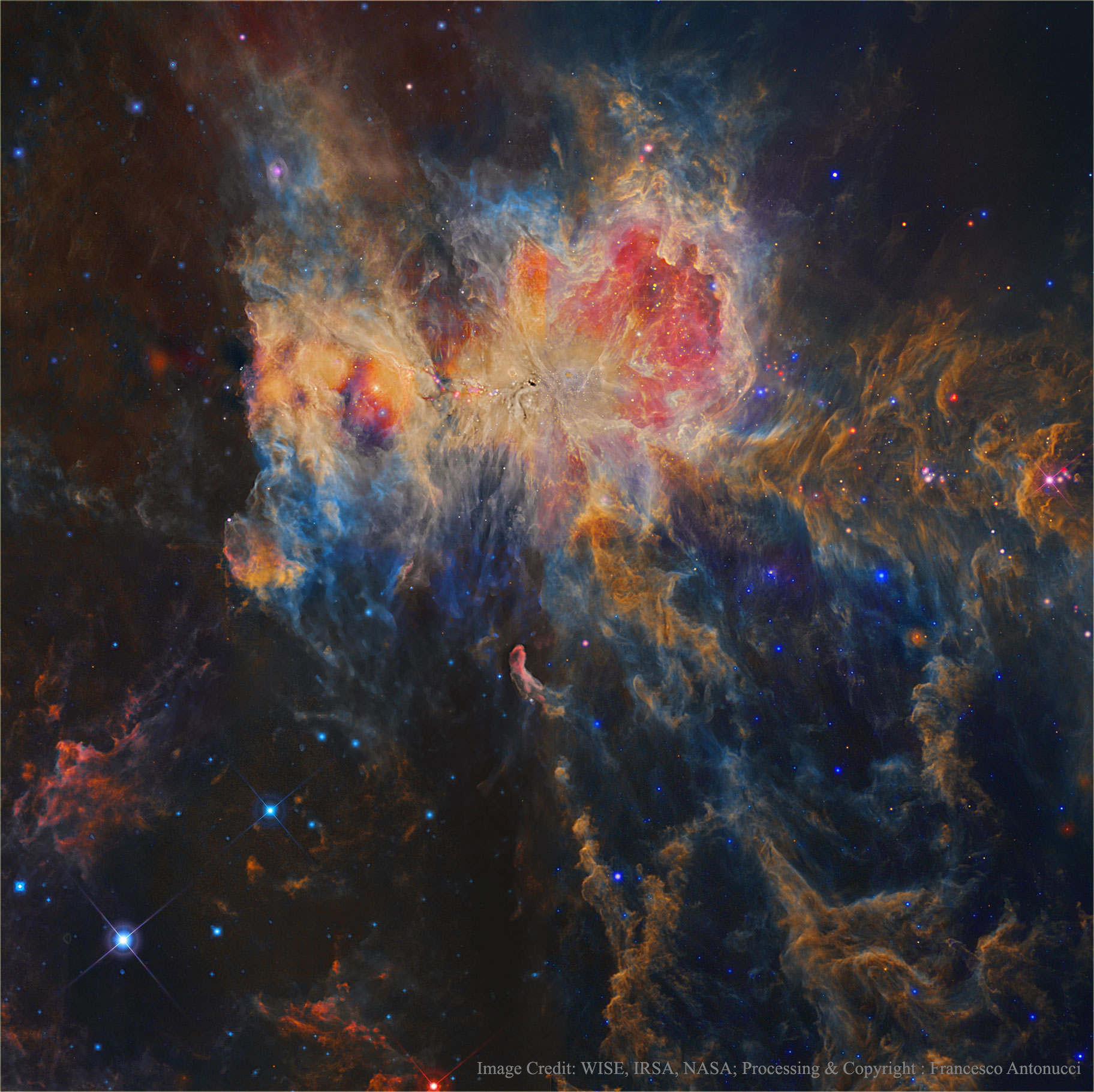 Orion dans l\'infrarouge par WISE