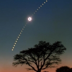 Eclipse au-dessus des Acacias