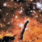 NGC&nbsp;6823&nbsp;: Amas ouvert sculpteur d'étoiles