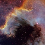 Le mur de formation stellaire du Cygne