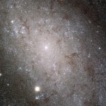 Les étoiles de NGC 300