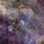NGC 6888, un champ d’étoiles tricolore