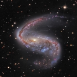NGC 2442, galaxie du poisson volant