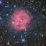 IC 5146, la nébuleuse du Cocon