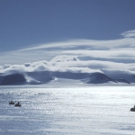Scène de chasse à la météorite en Antarctique