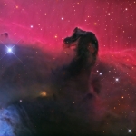 La nébuleuse de la Tête de Cheval dans Orion