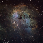 IC 410 et NGC 1893