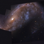 NGC 2442, galaxie planante
