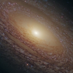 La galaxie spirale NGC 2841 en gros plan