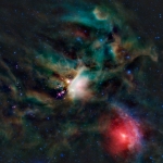 Jeunes étoiles dans le nuage de Rho Ophiuchi